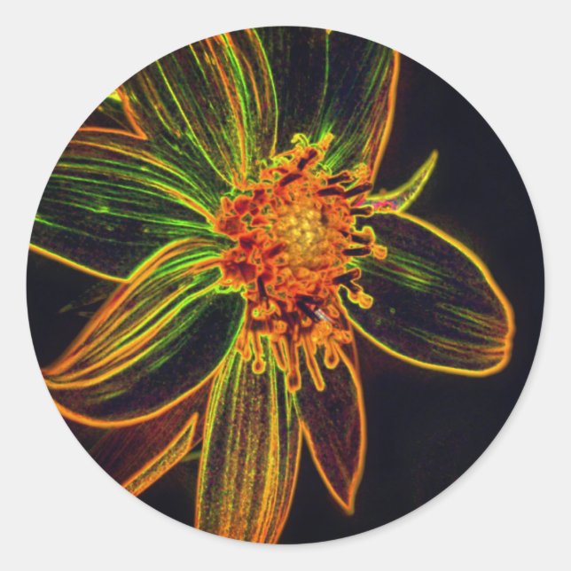 Daisy Abstract Flower Art Classic Round Sticker (Front)