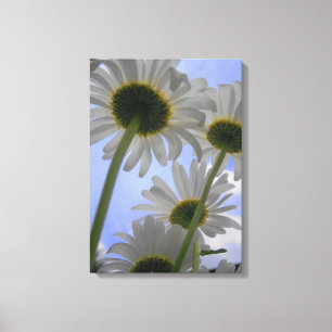 Daisy Abstract View Black and White Wrapped Canvas Print