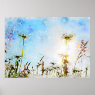 Daisy  -     - Acrylic Print