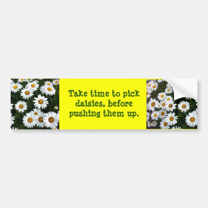 Daisy advice Bumper Sticker
