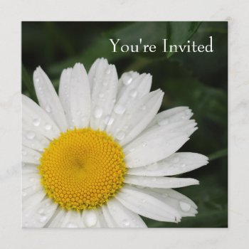 Daisy All Occasion Event Invitation by artladymanor at Zazzle