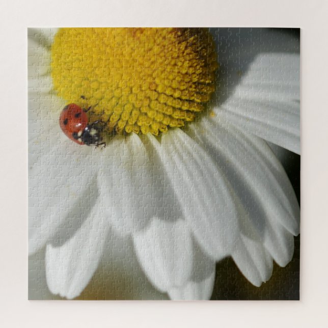 Daisy And A Ladybug Jigsaw Puzzle (Vertical)