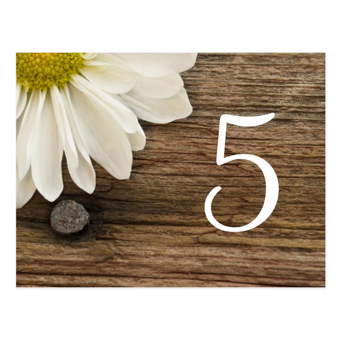 Daisy and Barn Wood Country Wedding Table Number Postcard