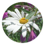 Daisy and Fireweed Classic Round Sticker