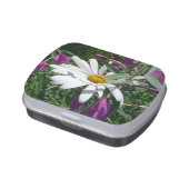 Daisy and Fireweed Jelly Belly Candy Tin (Side)