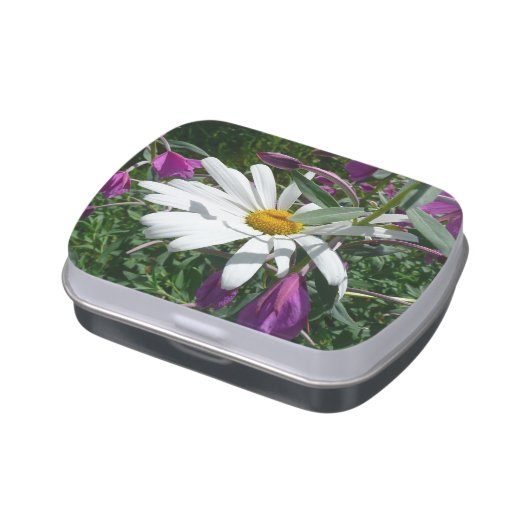 Daisy and Fireweed Jelly Belly Candy Tin (Side)