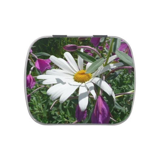 Daisy and Fireweed Jelly Belly Candy Tin (Top)