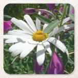 Daisy and Fireweed Square Paper Coaster