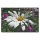Daisy and Fireweed Tissue Paper