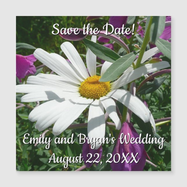 Daisy and Fireweed Wildflower (Front)