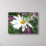 Daisy and Fireweed Wildflower Canvas Print