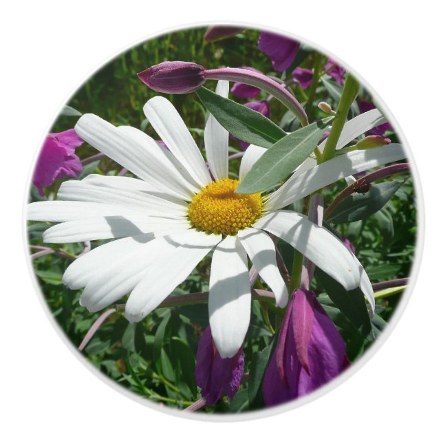 Daisy and Fireweed Wildflower Ceramic Knob (Front)