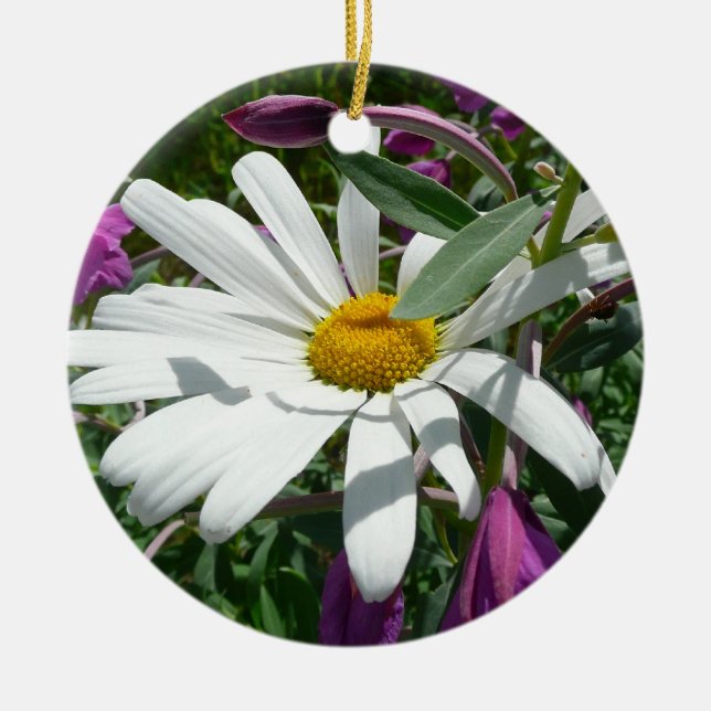 Daisy and Fireweed Wildflower Ceramic Ornament (Front)