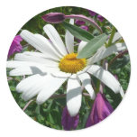 Daisy and Fireweed Wildflower Classic Round Sticker