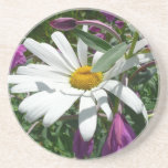 Daisy and Fireweed Wildflower Drink Coaster