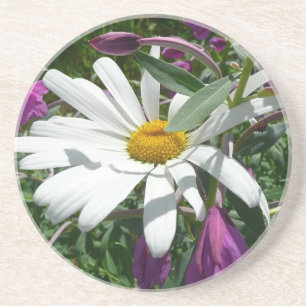 Daisy and Fireweed Wildflower Drink Coaster