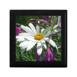 Daisy and Fireweed Wildflower Gift Box