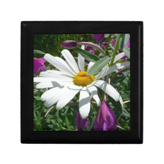Daisy and Fireweed Wildflower Gift Box