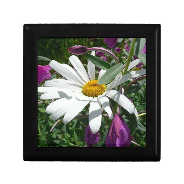 Daisy and Fireweed Wildflower Gift Box (Front)