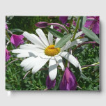 Daisy and Fireweed Wildflower Guest Book
