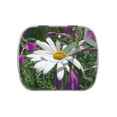 Daisy and Fireweed Wildflower Jelly Belly Candy Tin (Top)
