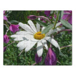 Daisy and Fireweed Wildflower Jigsaw Puzzle