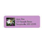 Daisy and Fireweed Wildflower Label