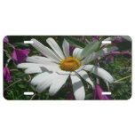 Daisy and Fireweed Wildflower License Plate