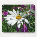 Daisy and Fireweed Wildflower Mouse Pad