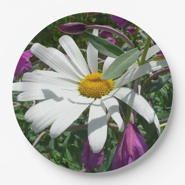 Daisy and Fireweed Wildflower Paper Plates (Front)