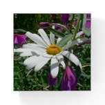 Daisy and Fireweed Wildflower Paperweight