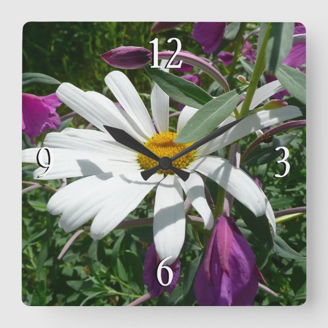 Daisy and Fireweed Wildflower Square Wall Clock (Front)