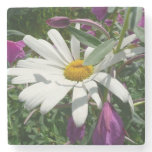 Daisy and Fireweed Wildflower Stone Coaster