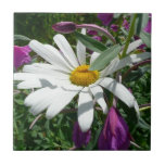 Daisy and Fireweed Wildflower Tile