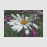Daisy and Fireweed Wildflower Tissue Paper