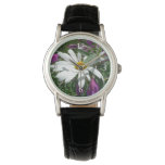 Daisy and Fireweed Wildflower Watch