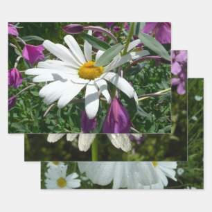 Daisy and Fireweed Wildflower Wrapping Paper Sheets