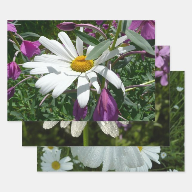 Daisy and Fireweed Wildflower Wrapping Paper Sheets (Set)