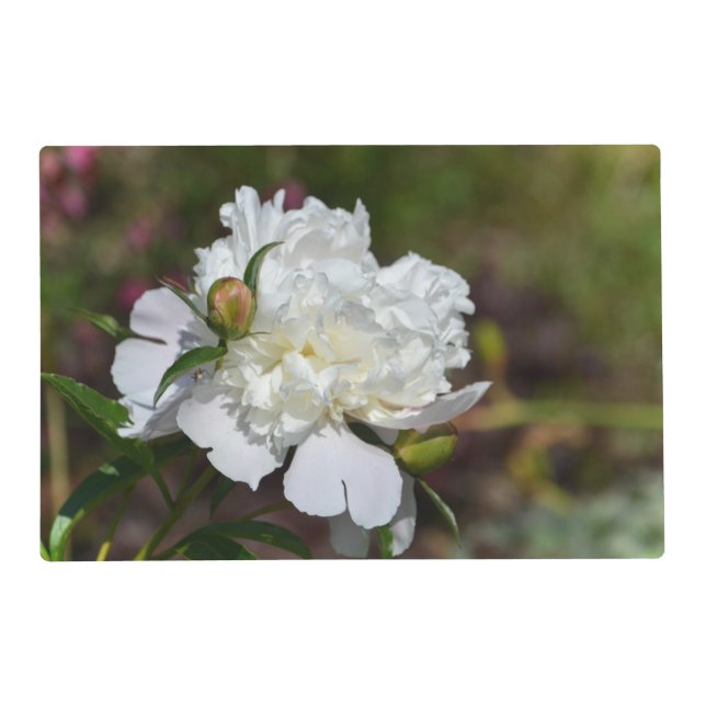 Daisy and Peony Vinyl Place-mat Placemat (Back)