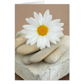 Daisy And Stones Cards