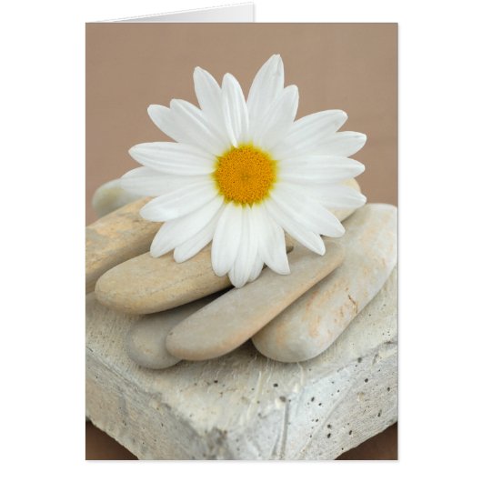 Daisy And Stones Cards (Front)