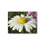 Daisy and Summer Lilac Botanical Canvas Print