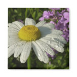 Daisy and Summer Lilac Botanical Magnet