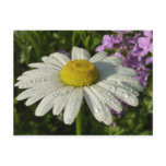 Daisy and Summer Lilac Botanical Postcard