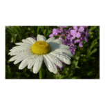 Daisy and Summer Lilac Botanical Poster