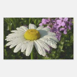 Daisy and Summer Lilac Botanical Rectangular Sticker