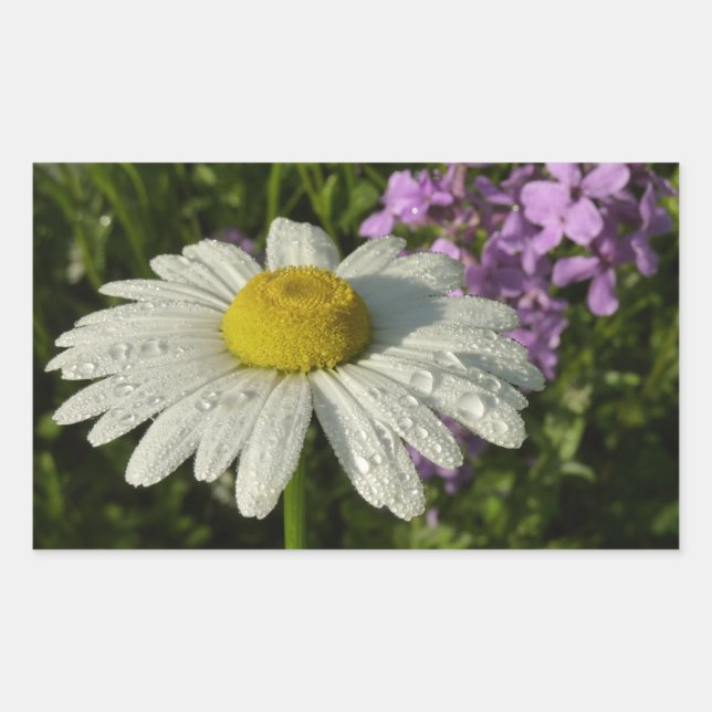 Daisy and Summer Lilac Botanical Rectangular Sticker (Front)