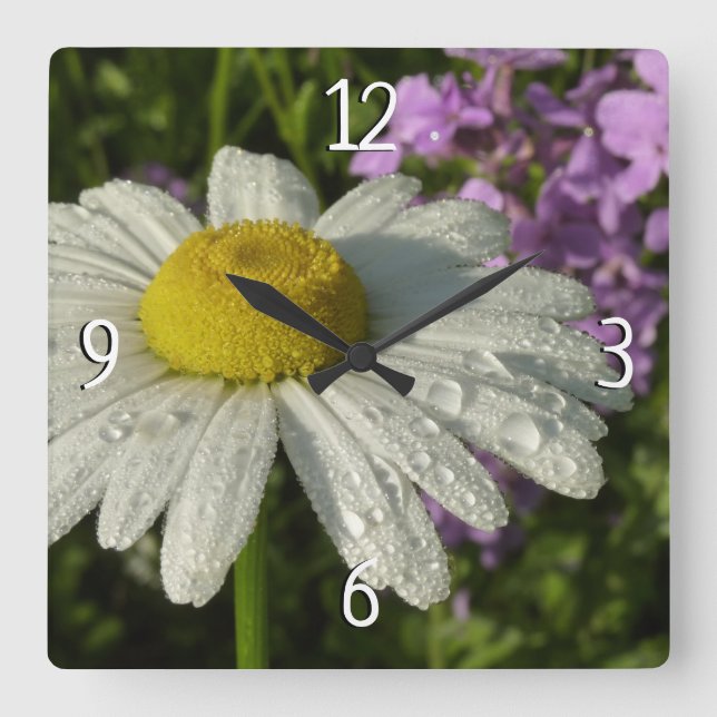Daisy and Summer Lilac Botanical Square Wall Clock (Front)