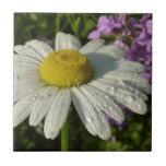 Daisy and Summer Lilac Botanical Tile