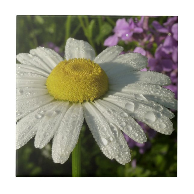 Daisy and Summer Lilac Botanical Tile (Front)